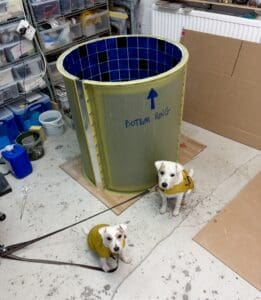 the rings for Glasgow's Wellspring